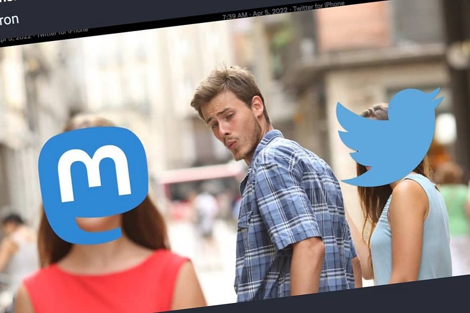 mastodon sees increase in user sign ups after musk buys twit ytmt.1200